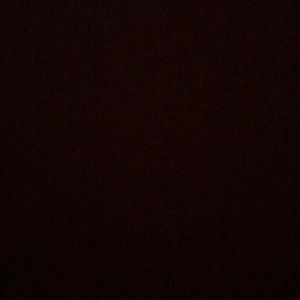 Meet your Posher, Catalina